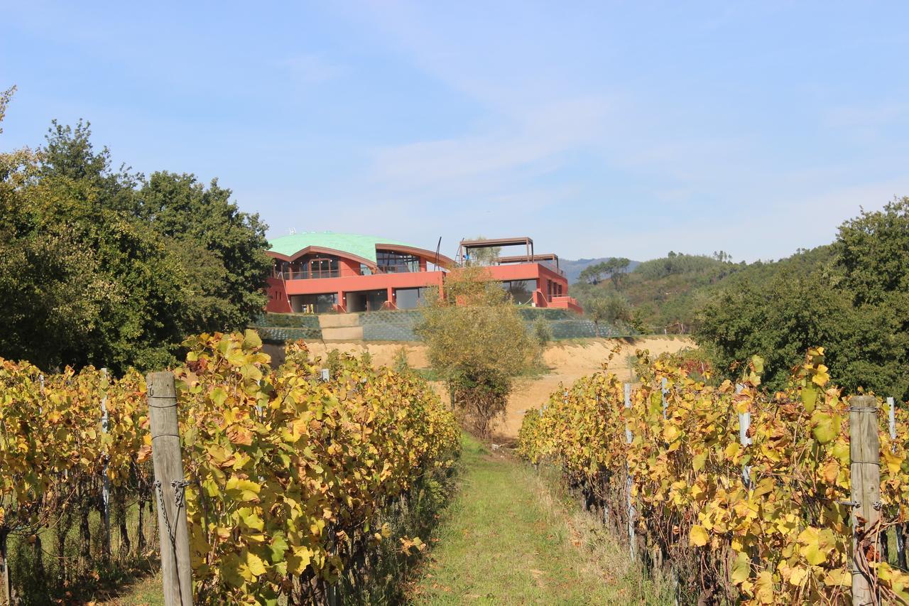 Buonamico Wine Resort Монтекарло Екстериор снимка